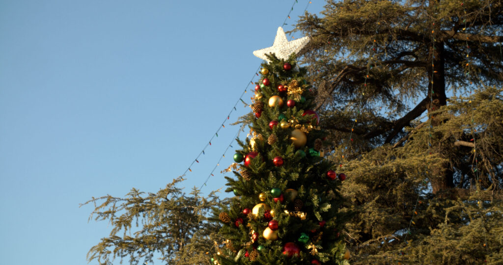 City of Covina - Christmas tree